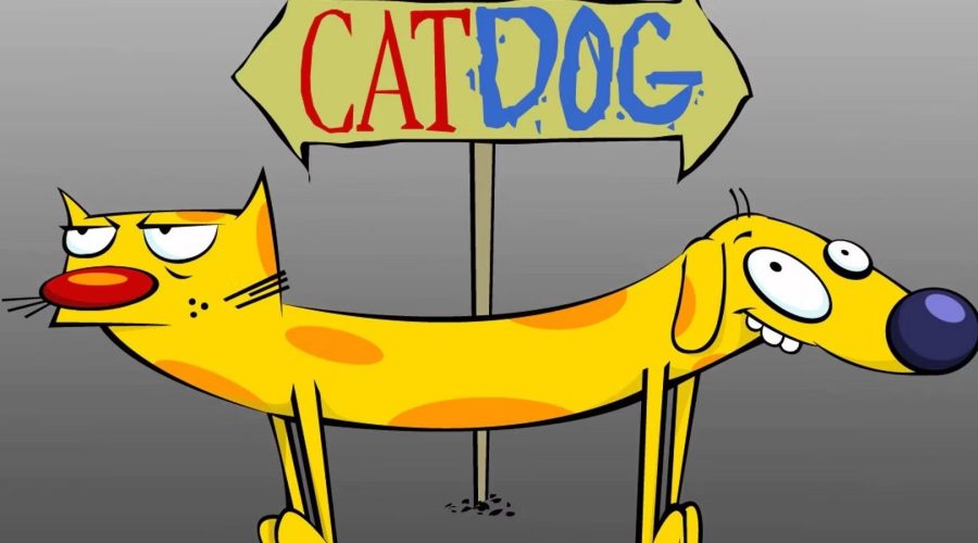 Animasi CatDog Kehidupan Dua Kepribadian Dalam Satu Tubuh